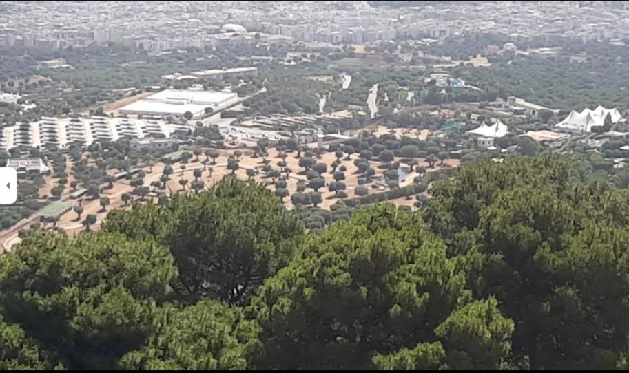 Trullo Dell'Immacolata - Casa Vacanze Gestita Da Suore Selva Di Fasano Extérieur photo